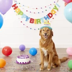 Frisco Birthday Cake Dog & Cat Hat -Frisco 139518 PT4. AC SS1800 V1540422964