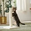 Frisco 21-in Sisal Cat Scratching Post With Toy 1 Frisco 21-in Sisal Cat Scratching Post With Toy -Frisco 140149 MAIN. AC SS1800 V1665765071