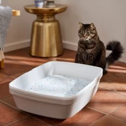 Frisco Summer Clean Scented Non-Clumping Crystal Cat Litter -Frisco 144146 PT4. AC SS1800 V1659023731