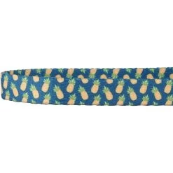 Frisco Pineapple Polyester Breakaway Cat Collar With Bell 10 Frisco Pineapple Polyester Breakaway Cat Collar With Bell -Frisco 153158 PT3. AC SS1800 V1568380088