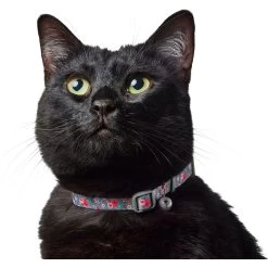 Frisco Rose Polyester Breakaway Cat Collar With Bell 11 Frisco Rose Polyester Breakaway Cat Collar With Bell -Frisco 153160 PT3. AC SS1800 V1701796877