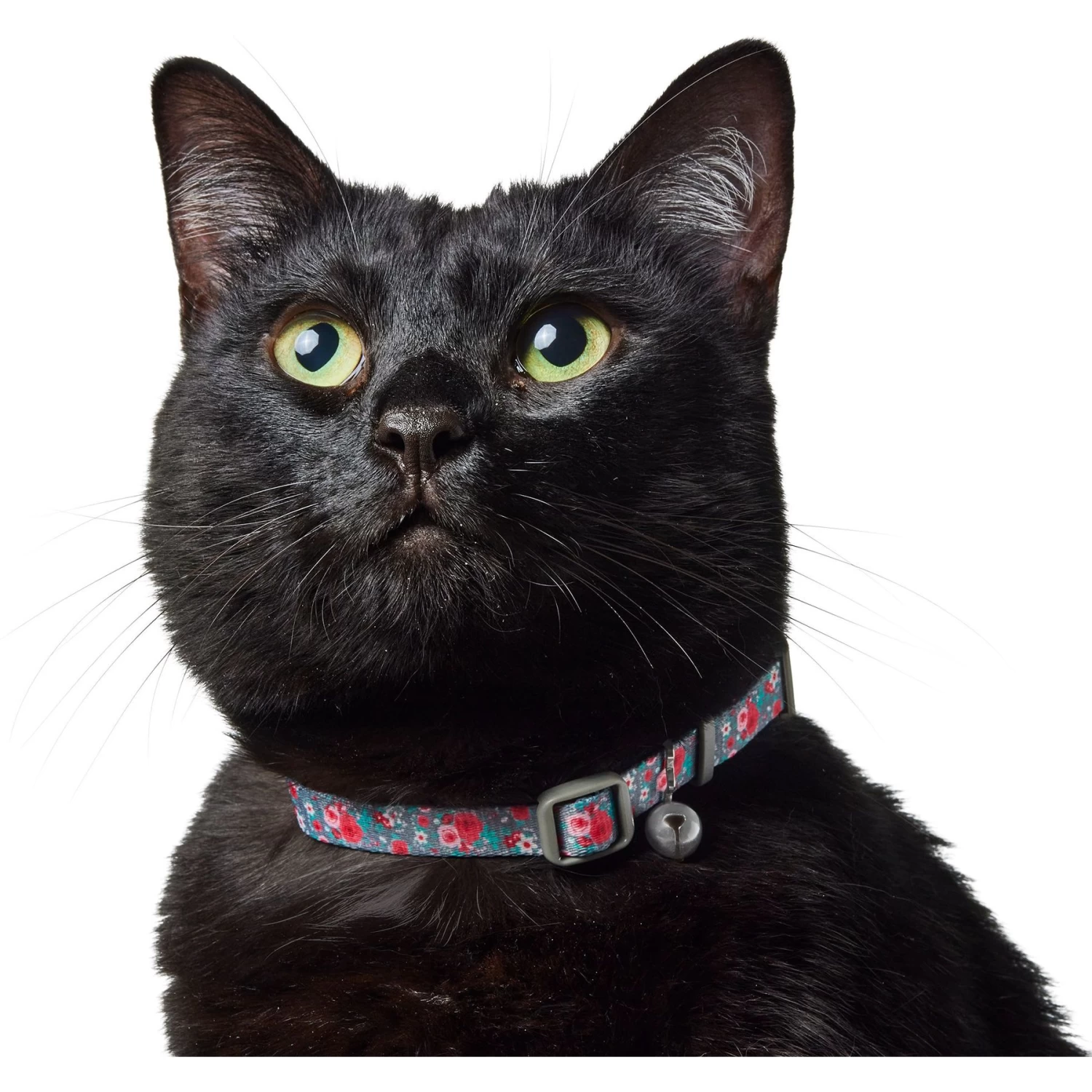 Frisco Rose Polyester Breakaway Cat Collar With Bell 6 Frisco Rose Polyester Breakaway Cat Collar With Bell - Image 4