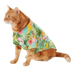Frisco Pineapple Hawaiian Camp Dog & Cat Shirt 13 Frisco Pineapple Hawaiian Camp Dog & Cat Shirt -Frisco 153596 PT2. AC SS1800 V1673304512