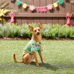 Frisco Pineapple Hawaiian Camp Dog & Cat Shirt 18 Frisco Pineapple Hawaiian Camp Dog & Cat Shirt -Frisco 153596 PT7. AC SS1800 V1644884316