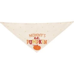 Frisco Mommy's Lil Pumpkin Dog & Cat Bandana 12 Frisco Mommy's Lil Pumpkin Dog & Cat Bandana -Frisco 158936 PT3. AC SS1800 V1689628812