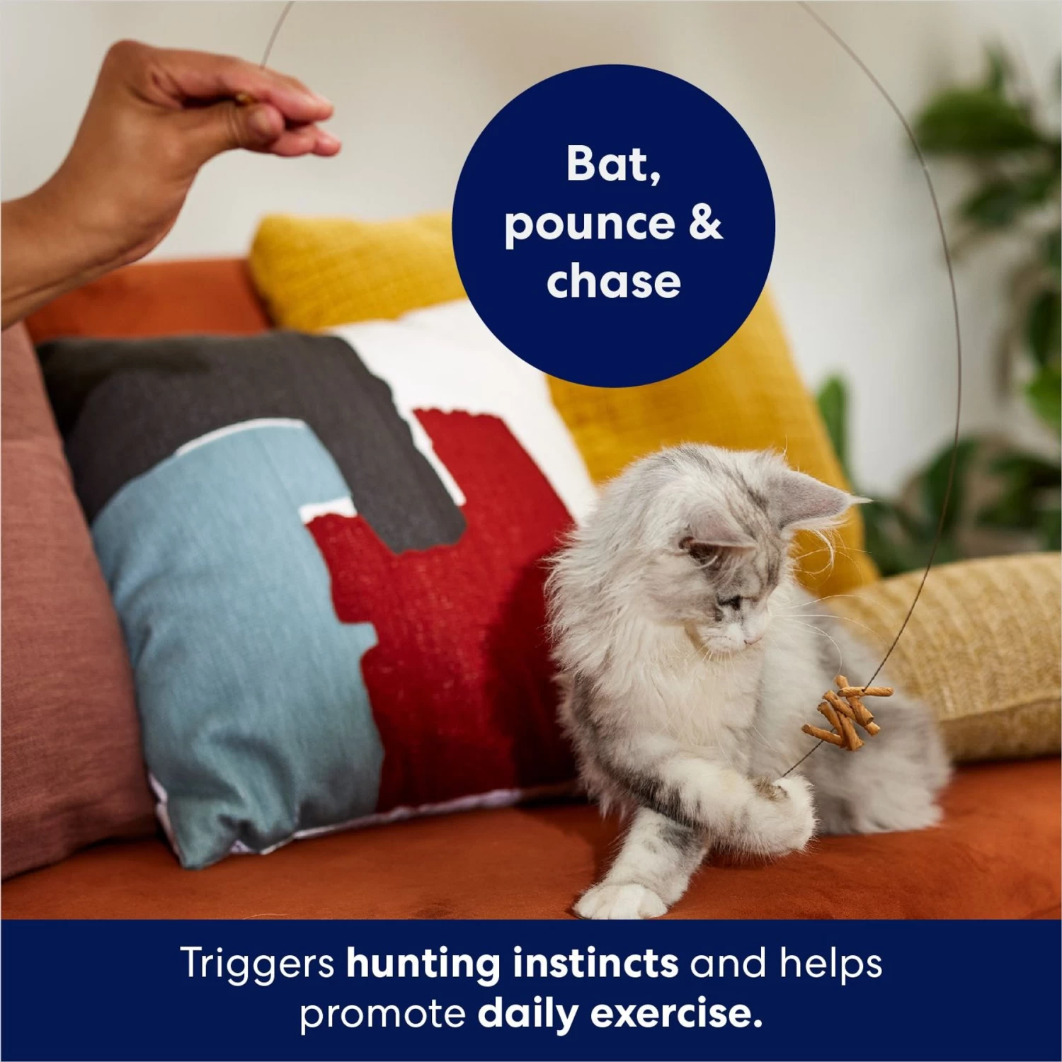 Frisco Cardboard & Wire Teaser Cat Toy 5 Frisco Cardboard & Wire Teaser Cat Toy - Image 3