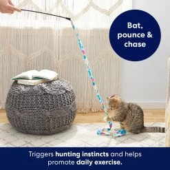 Frisco Fabric Teaser Wand Cat Toy 8 Frisco Fabric Teaser Wand Cat Toy -Frisco 161196 PT5. AC SS1800 V1691783969