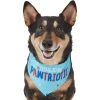 Frisco Pawtriot Dog & Cat Bandana -Frisco 191277 Main. AC SS1800 V1584623866