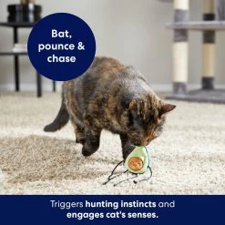 Frisco Dangly Avocado Buddy Plush Cat Toy With Catnip -Frisco 213846 PT5. AC SS1800 V1691784029