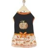 Frisco Pumpkin Patch Cutie Dog & Cat Dress 2 Frisco Pumpkin Patch Cutie Dog & Cat Dress -Frisco 215784 MAIN. AC SS1800 V1632424571