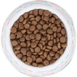 Frisco Colorful Fish Melamine Bowl -Frisco 216047 PT4. AC SS1800 V1591020721