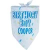 Frisco Birthday Boy Personalized Dog & Cat Bandana -Frisco 238329 MAIN. AC SS1800 V1597896415