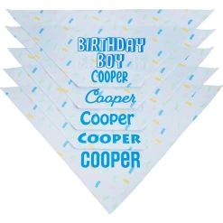 Frisco Birthday Boy Personalized Dog & Cat Bandana 14 Frisco Birthday Boy Personalized Dog & Cat Bandana -Frisco 238329 PT4. AC SS1800 V1618511578