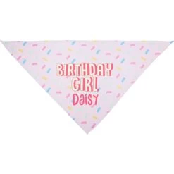 Frisco Birthday Girl Personalized Dog & Cat Bandana -Frisco 238333 PT3. AC SS1800 V1618509734