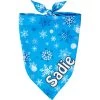 Frisco Blue Snowflakes Personalized Dog & Cat Bandana -Frisco 242803 MAIN. AC SS1800 V1600114285
