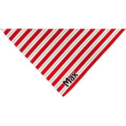 Frisco Peppermint Personalized Dog & Cat Bandana -Frisco 242807 PT3. AC SS1800 V1618507377