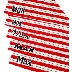 Frisco Peppermint Personalized Dog & Cat Bandana -Frisco 242807 PT4. AC SS1800 V1618511553