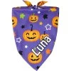 Frisco Halloween Pumpkins Personalized Dog & Cat Bandana -Frisco 242815 MAIN. AC SS1800 V1701983007