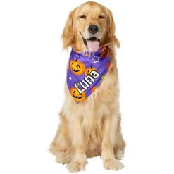 Frisco Halloween Pumpkins Personalized Dog & Cat Bandana -Frisco 242815 PT6. AC SS1800 V1618509475