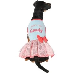 Frisco Sweet Like Candy Dog & Cat Dress -Frisco 248666 PT2. AC SS1800 V1632421633