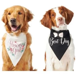 Frisco Wedding Reversible Dog & Cat Bandana -Frisco 248712 PT2. AC SS1800 V1632429387