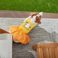 Frisco Fun In The Sun Dog & Cat Dress -Frisco 249058 PT4. AC SS1800 V1637668124