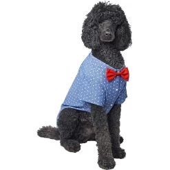 Frisco Polka Dot Chambray Dog & Cat Button Up Shirt -Frisco 249162 PT3. AC SS1800 V1624599756
