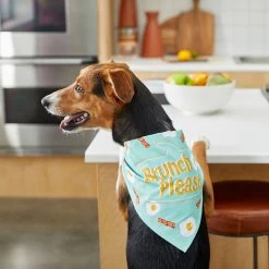 Frisco Brunch Please Dog & Cat Bandana -Frisco 249207 PT5. AC SS1800 V1696597732