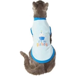 Frisco It's My Birthday & Cat T-Shirt -Frisco 249249 PT2. AC SS1800 V1624604252