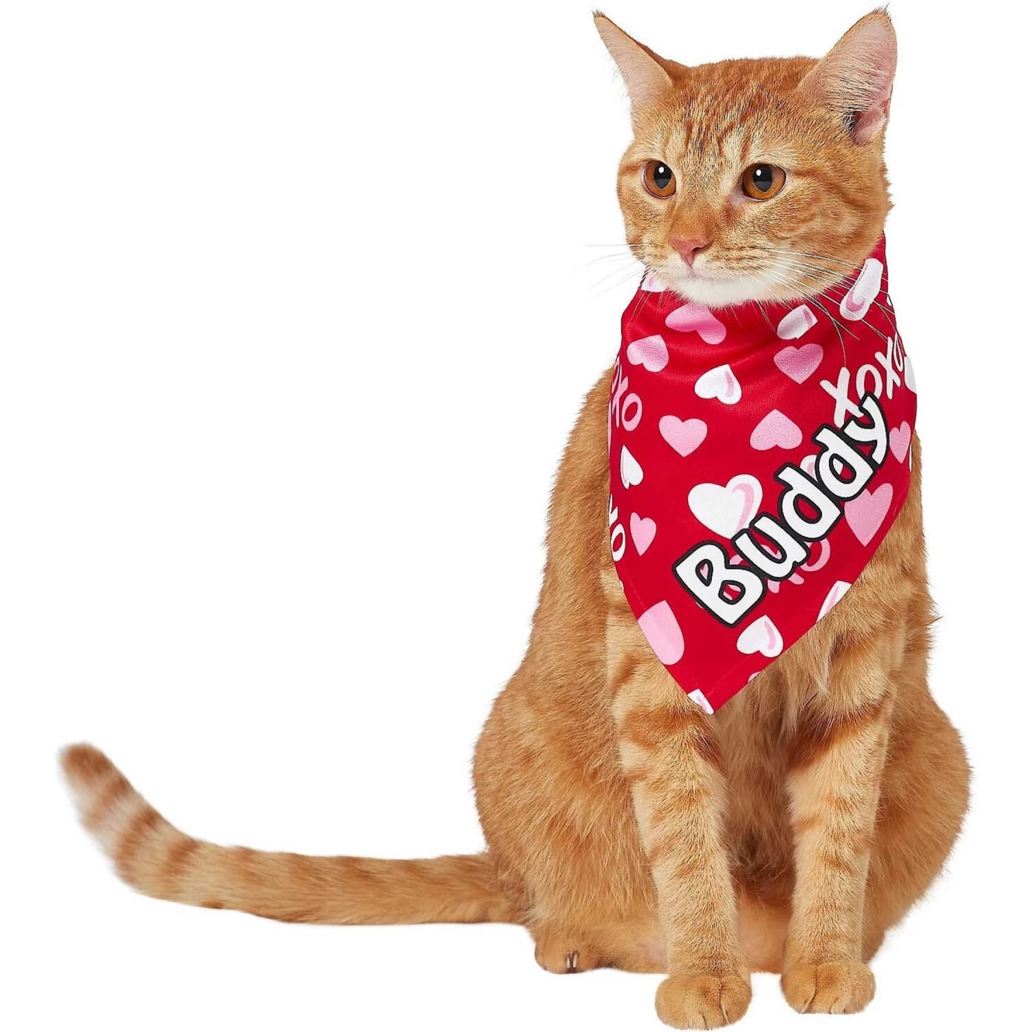 Frisco XOXO Hearts Personalized Dog & Cat Bandana 10 Frisco XOXO Hearts Personalized Dog & Cat Bandana - Image 8