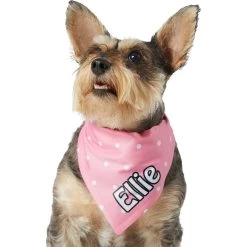 Frisco Polka Dot Personalized Dog & Cat Bandana 17 Frisco Polka Dot Personalized Dog & Cat Bandana -Frisco 254223 PT6. AC SS1800 V1696432728
