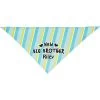 Frisco Big Brother Personalized Dog & Cat Bandana -Frisco 254231 MAIN. AC SS1800 V1633064216