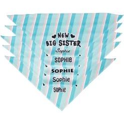 Frisco Big Sister Personalized Dog & Cat Bandana -Frisco 254235 PT4. AC SS1800 V1619558530