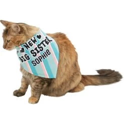 Frisco Big Sister Personalized Dog & Cat Bandana -Frisco 254235 PT7. AC SS1800 V1619560404