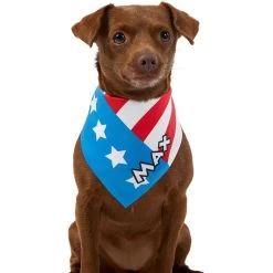 Frisco Americana Personalized Dog & Cat Bandana 17 Frisco Americana Personalized Dog & Cat Bandana -Frisco 254239 PT6. AC SS1800 V1619558231