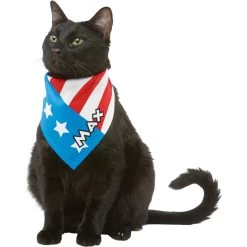 Frisco Americana Personalized Dog & Cat Bandana 18 Frisco Americana Personalized Dog & Cat Bandana -Frisco 254239 PT7. AC SS1800 V1619559761