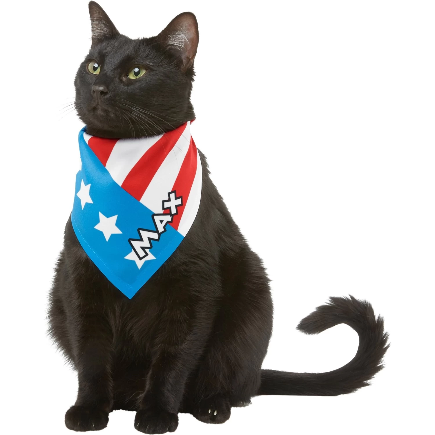 Frisco Americana Personalized Dog & Cat Bandana 10 Frisco Americana Personalized Dog & Cat Bandana - Image 8