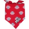 Frisco Patriotic Paws Personalized Dog & Cat Bandana -Frisco 254243 MAIN. AC SS1800 V1619560378