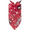 Frisco Paisley Printed Personalized Dog & Cat Bandana -Frisco 254247 MAIN. AC SS1800 V1701981426