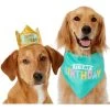 Frisco Happy Birthday Dog & Cat Crown & Frisco Dog & Cat Birthday Bandana -Frisco 255523 MAIN. AC SS1800 V1603716093