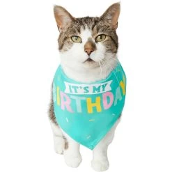 Frisco Happy Birthday Dog & Cat Crown & Frisco Dog & Cat Birthday Bandana -Frisco 255523 PT4. AC SS1800 V1603716120