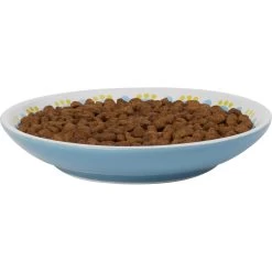 Frisco Kaleidoscope Pattern Non-skid Ceramic Cat Dish -Frisco 256092 PT3. AC SS1800 V1617042717