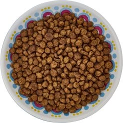Frisco Kaleidoscope Pattern Non-skid Ceramic Cat Dish -Frisco 256092 PT5. AC SS1800 V1617042691