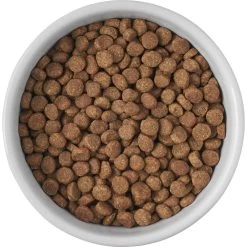 Frisco Cat Print Non-skid Elevated Ceramic Cat Bowl, Short -Frisco 256096 PT4. AC SS1800 V1616522576