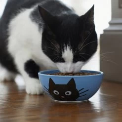 Frisco Cat Face Non-skid Ceramic Cat Bowl, Blue -Frisco 256103 PT4. AC SS1800 V1617997004