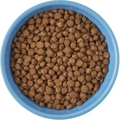 Frisco Cat Face Non-skid Ceramic Cat Bowl, Blue -Frisco 256103 PT5. AC SS1800 V1615312900