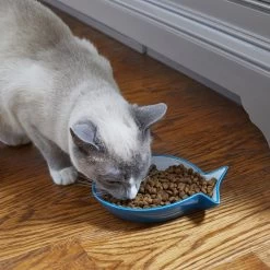 Frisco Fish Shaped Non-skid Ceramic Cat Dish -Frisco 256109 PT3. AC SS1800 V1617196297