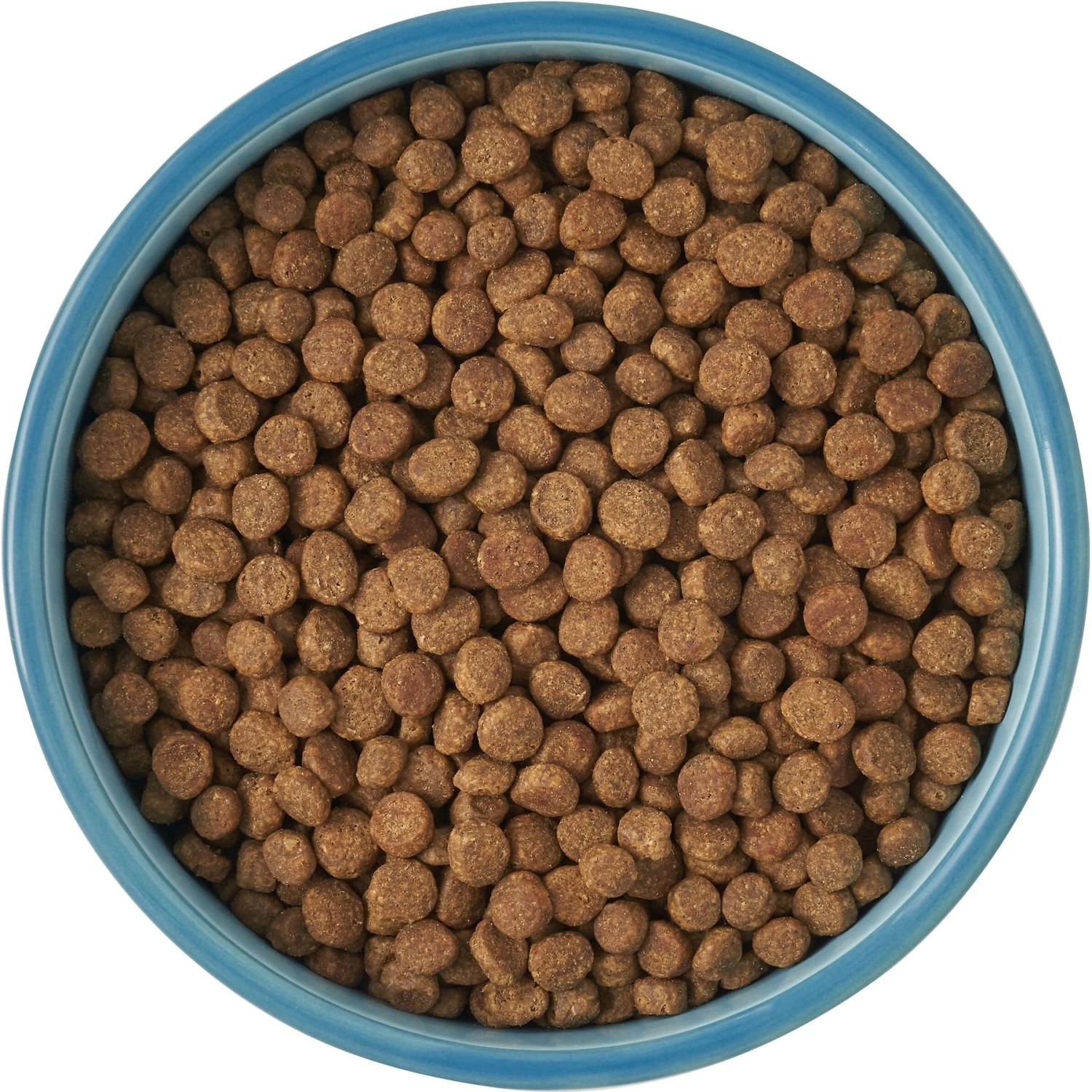 Frisco New York Non-skid Ceramic Cat Bowl 8 Frisco New York Non-skid Ceramic Cat Bowl - Image 6