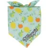 Frisco Citrus Personalized Dog & Cat Bandana -Frisco 258758 MAIN. AC SS1800 V1619558872