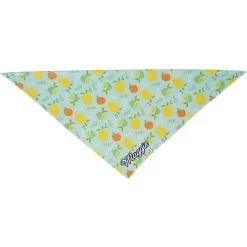 Frisco Citrus Personalized Dog & Cat Bandana -Frisco 258758 PT3. AC SS1800 V1619559797